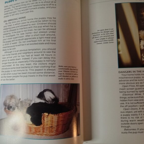 Complete Handbook of Tibetan Terrier (Rare Breed) by Keleman, Anne Hardback - Picture 5 of 7